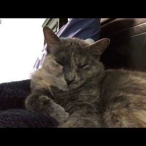 Meet your Posher, Morgan